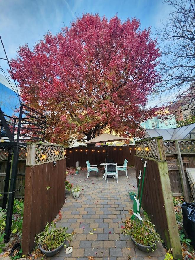 Magnolia Stay Near New York City Jersey City Bagian luar foto