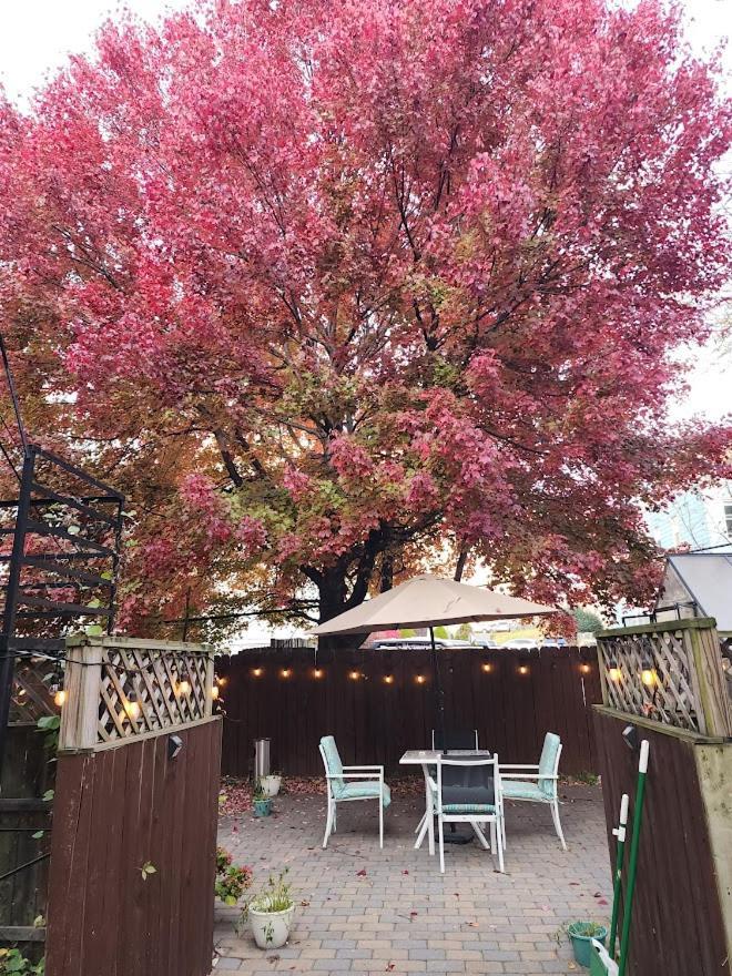 Magnolia Stay Near New York City Jersey City Bagian luar foto